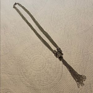 Silver long fashion necklace. NWOT